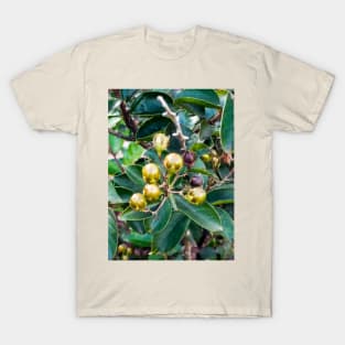 Beautiful bush in bloom T-Shirt
